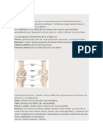 Articulaciones, Clasificacion y Tipos de Ligamentos y Articulaciones