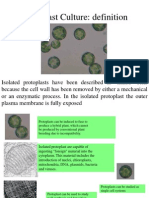 Protoplast Culture: Definition