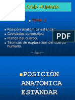 Tema 1. Posición Anatómica, Cavidades Corporales y Técnicas de Exploación Presentación