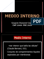 Medio Interno