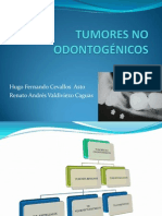 Tumores No Odontogénicos