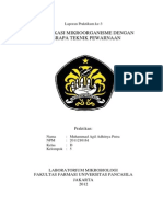 Identifikasi Mikroorganisme Dengan Bebrapa Teknik Pewarnaan