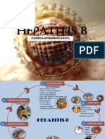 Cadena Epidemiologica Hepatitis B