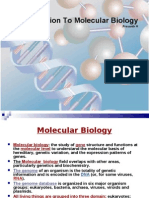 Introduction To Molecular Biology