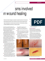 Wound Healing 2008