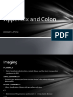 Appendix and Colon