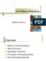 Plant Breeding Basics