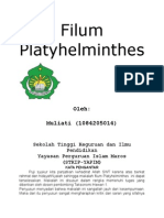 Filum Platyhelminthes