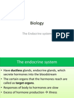 (Biology) The Endocrine System