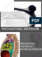 Mediastino Inferior