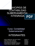 Principios de La Contabilidad Gubernamental