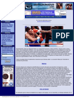 Boxeo La Ejecución Técnica Del Golpeo PDF