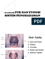 Struktur Dan Fungsi Sistem Penghadaman