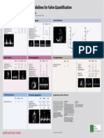 Guidelines For Valve Quantification