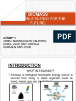 Biomass: (Renewable Energy For The Future)