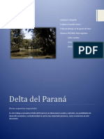 El Delta Del Paraná