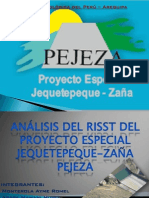 Pejeza Trabajo Final