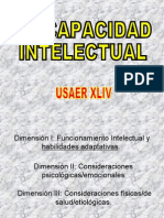 Discapacidad Intelectual