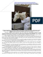 Researchers Create Equine Jugular Vein Injection Simulator