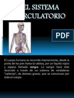 El Sistema Circulatorio