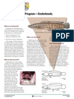 Aquatic Invaders: Invasive Species Program-Snakeheads