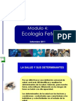 Ecologia Fetal