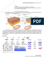 Clinical Bacteriology Reviewer