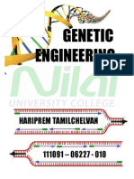 Genetic Engineering Assignment