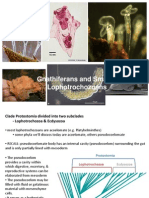 Gnathiferans and Smaller Lophotrochozoans