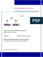 Temporary Organisational Structure