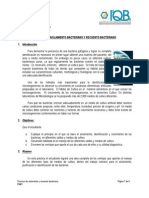 Práctica 04 Técnicas de Aislamiento y Recuento Bacteriano