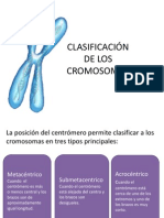 Clasificacion de Cromosomas