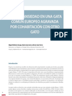 CV34 - Caso de Ansiedad en Una Gata Común Europeo Agravada Por Cohabitación Con Otro Gato