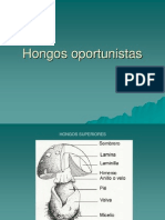 Hongos Oportunistas