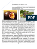 Analisis Comparativo Cholupa-Gulupa