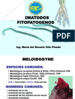 Nematodos Fito