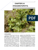 2 8anthocerotophyta PDF