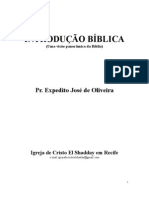 INTRODUCAO BIBLICA - Uma Visão Panorâmica Da Biblia