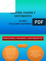 Emoción Pasión Sentimiento