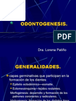 ODONTOGENESIS