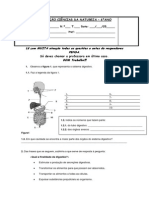 Ficha de Avaliacao Ciencias Da Natureza