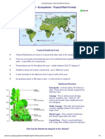 GCSE Ecosystem Tropical Rainforest Revision