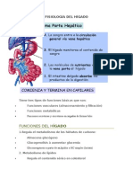 Fisiología Del Hígado