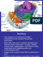 Nucleus