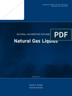 Natural Gas Briefing 1 PDF