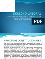 Principios Constitucionales y Sujetos