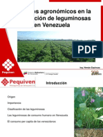 01 - Aspectos - Agronomicos Produccion de Caraotas