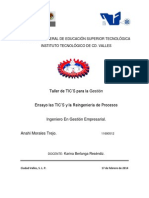 Ensayo de Tics y Reingenieria de Procesos