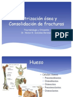 Cicatrización Ósea y Consolidación de Fracturas