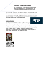 Cambios Fisicos y Quimicos en La Materia y Energia